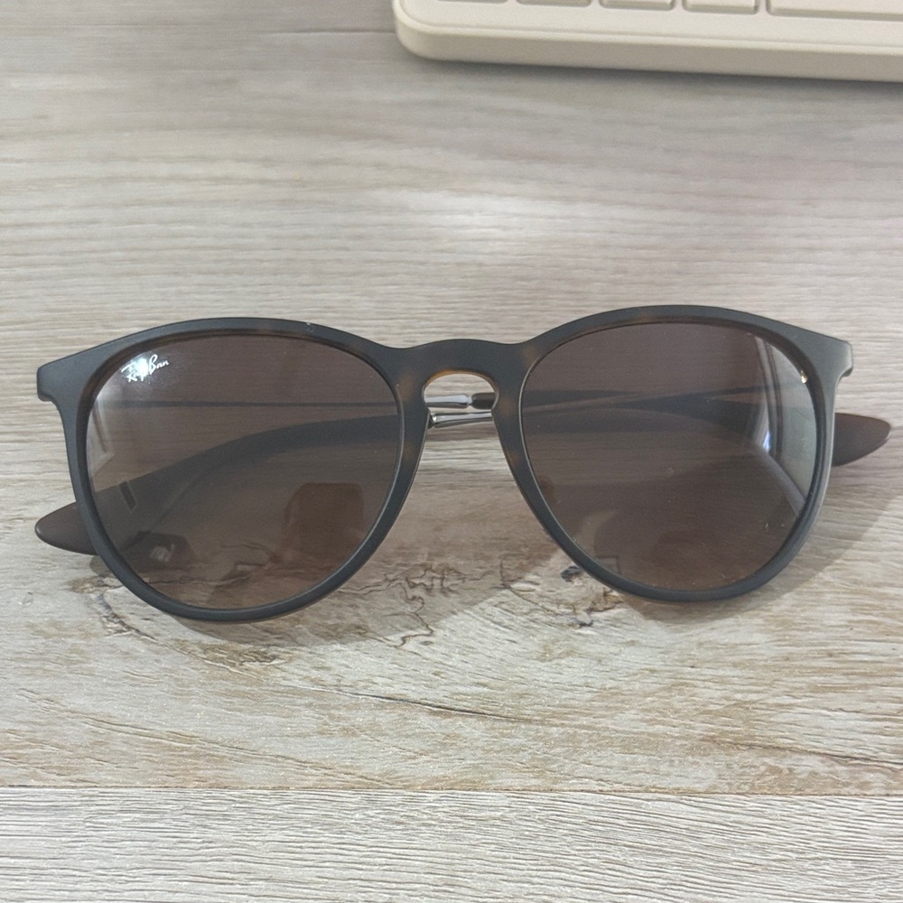 Ray-Ban Erika Sunglasses